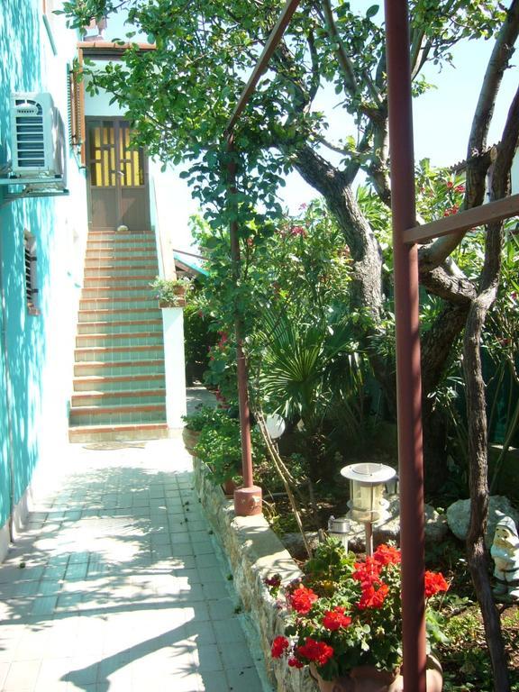 بنجول Alba Apartments المظهر الخارجي الصورة